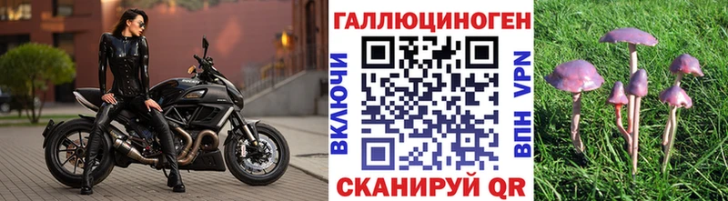 shop телеграм  Карпинск  Галлюциногенные грибы Psilocybine cubensis  магазин  наркотиков 